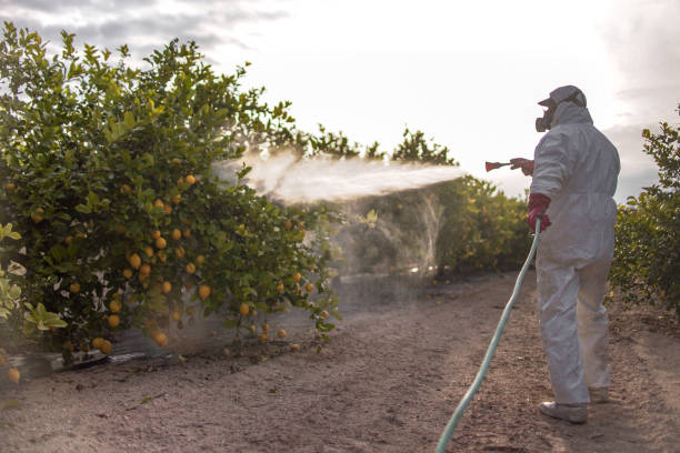 Best Exterminator Services  in Chesterfield, SC