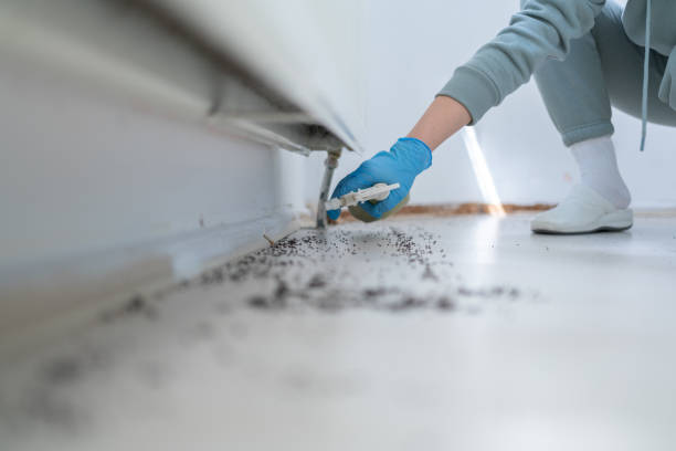 Best Pest Prevention Services  in Chesterfield, SC